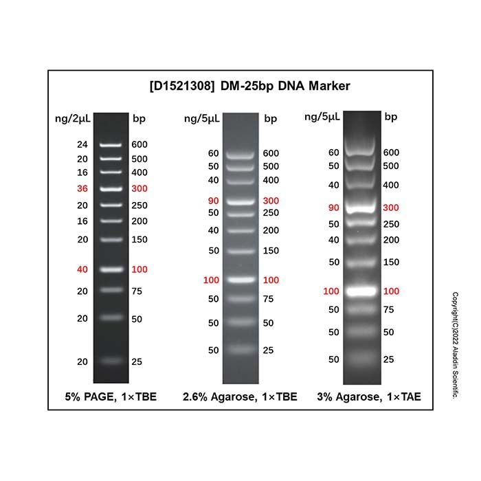 DM-25bp DNA Marker