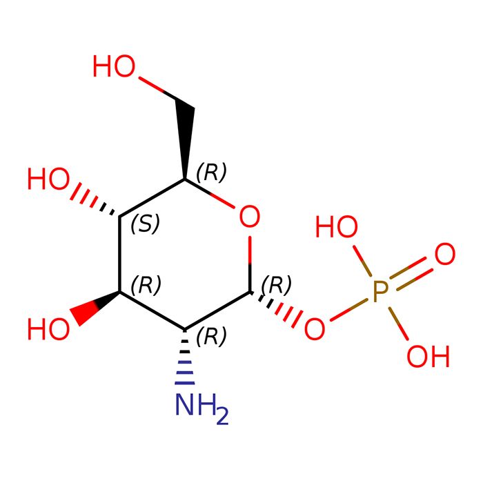 α-D-氨基葡萄糖1-磷酸