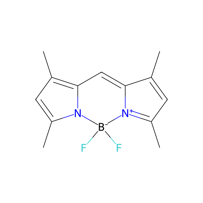 BODIPY 505/515