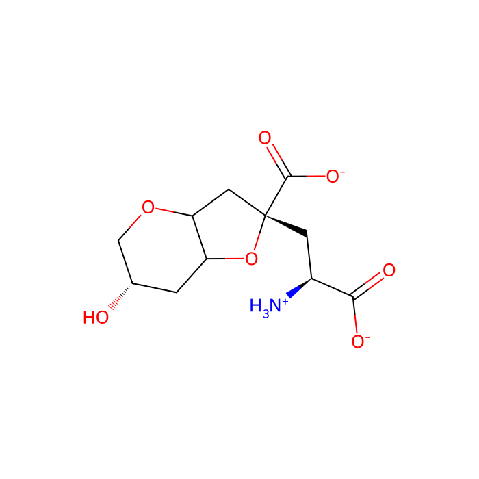 8-deoxy-neodysiherbaine, GluK1 的激动剂