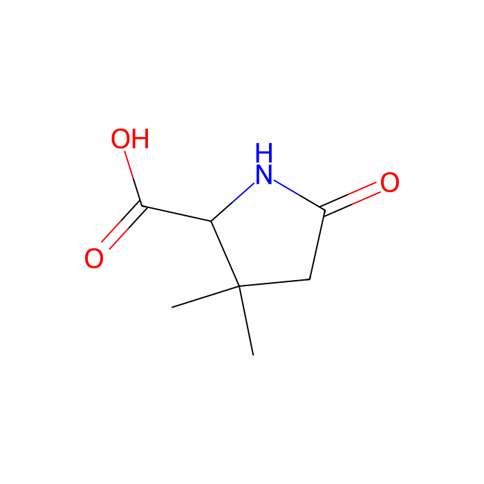 3,3-dimethyl-5-oxopyrrolidine-2-carboxylic acid