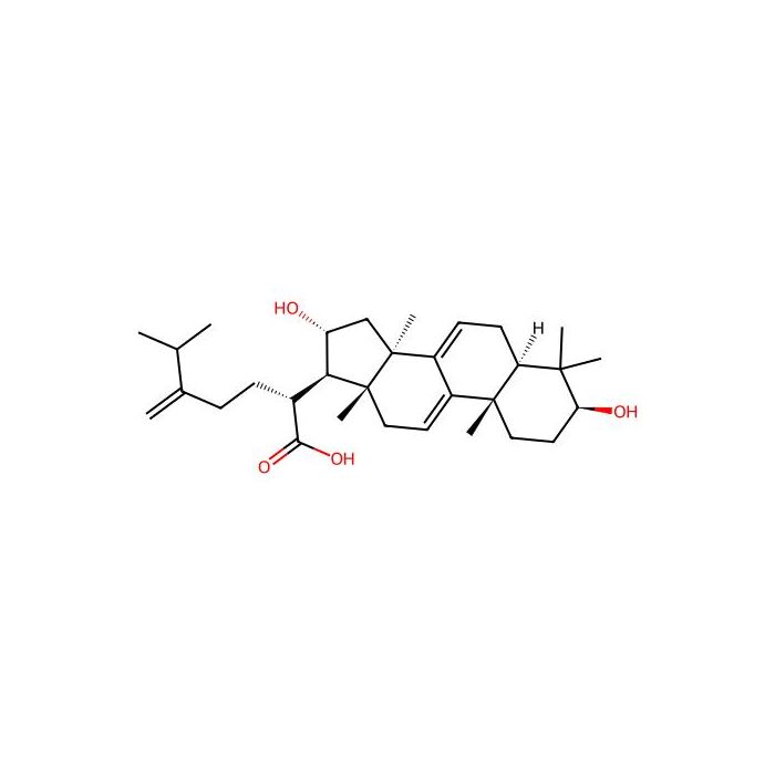 Dehydrotumulosic acid
