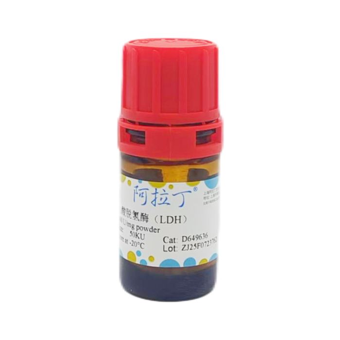 重组乳酸脱氢酶（LDH）