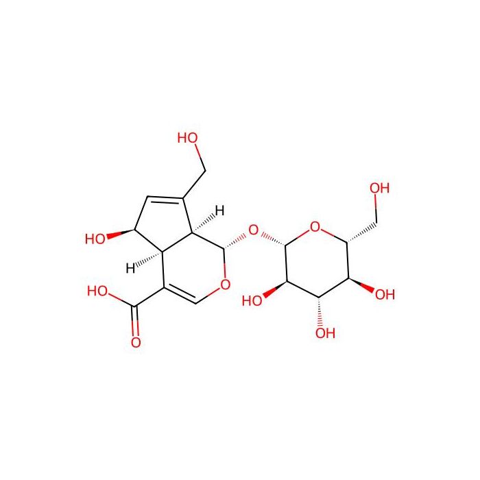 Deacetylasperulosidic Acid