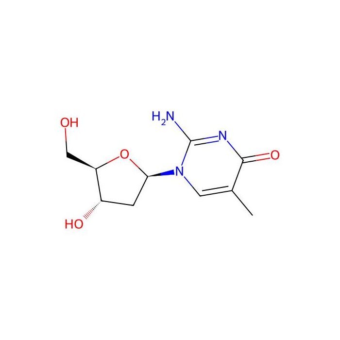 2'-Deoxy-5-methylisocytidine