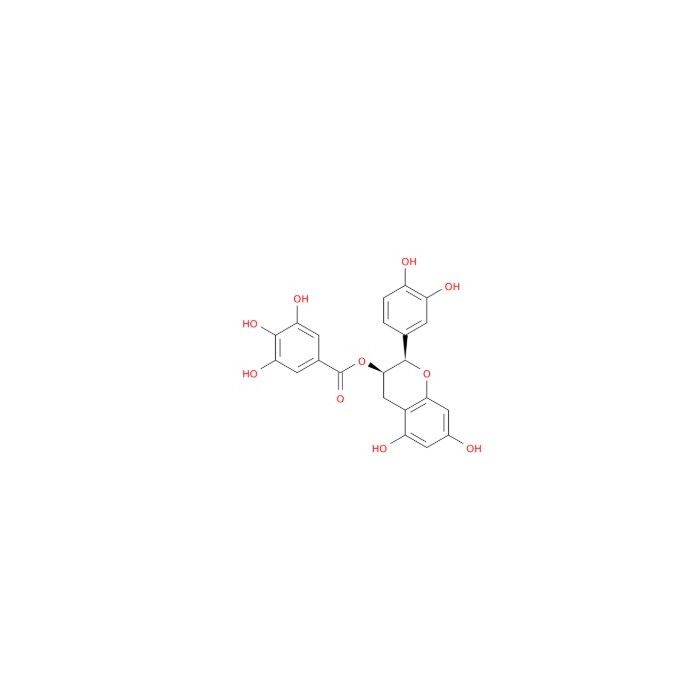 (-)-表儿茶素没食子酸酯, TAS2R39 的激动剂