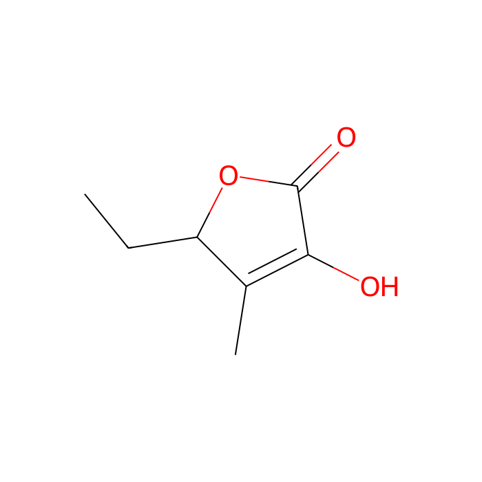 5-乙基-3-羟基-4-甲基-2(5H)-呋喃酮