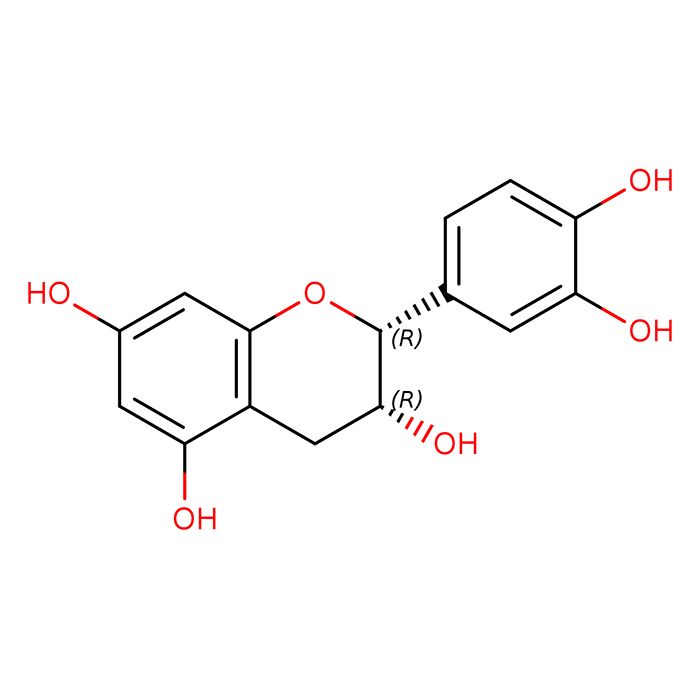 表儿茶素