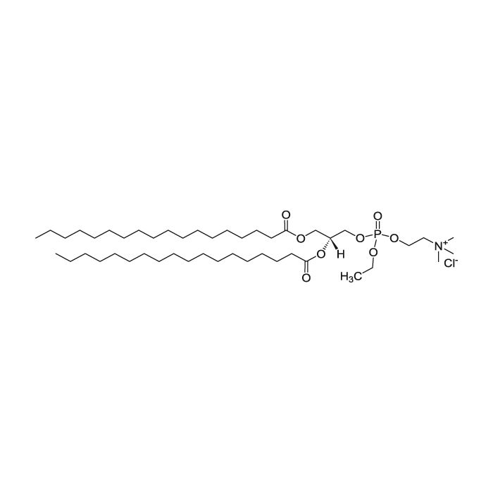 18:0 EPC (Cl Salt)
