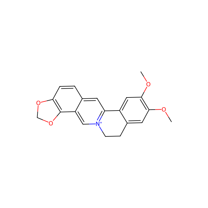 Epiberberine