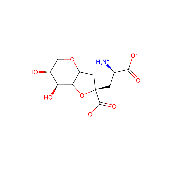2,4-epi-neodysiherbaine, GluK1 拮抗剂；GluK2 拮抗剂