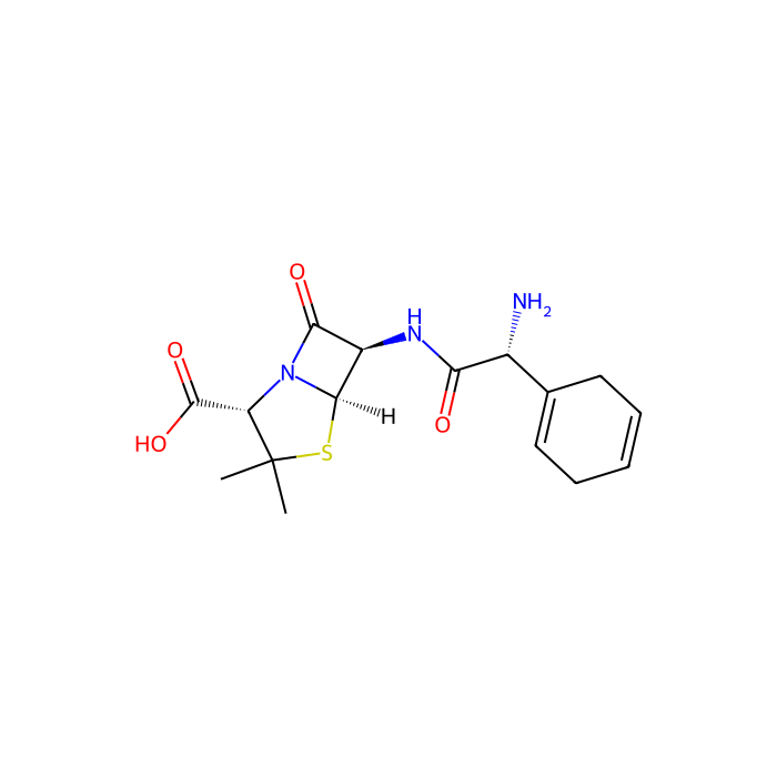 epicillin