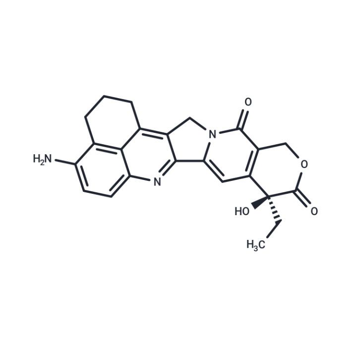 10N喜树碱衍生物