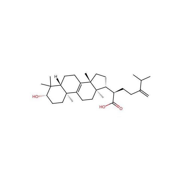 Eburicoic acid