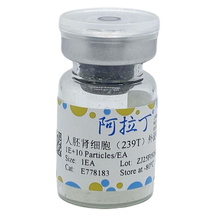 人胚肾细胞（239T）外泌体