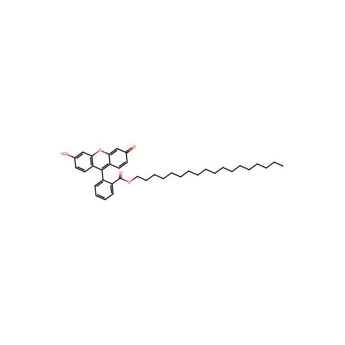 Fluorescein octadecyl ester