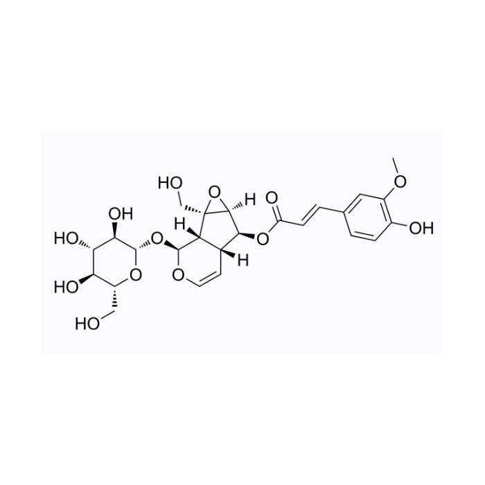 6-阿魏酰梓醇