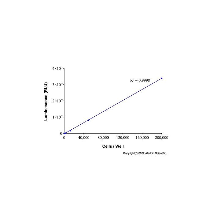 萤火虫萤光素酶报告基因检测试剂盒（辉光型）