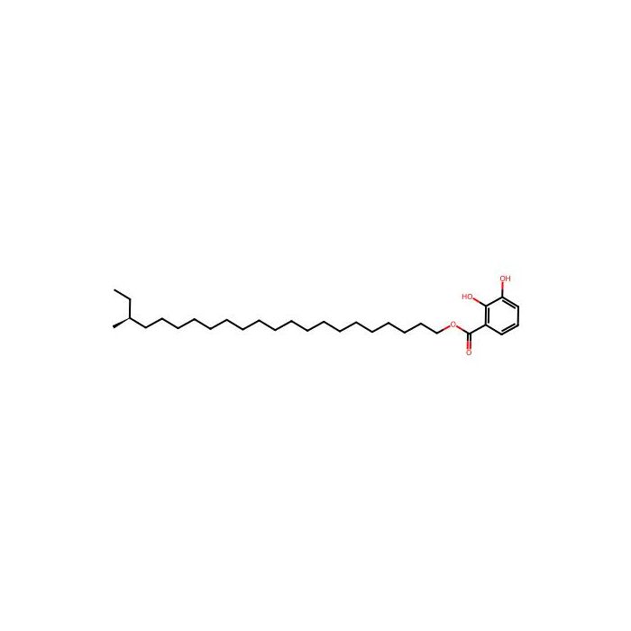 Gentiside B