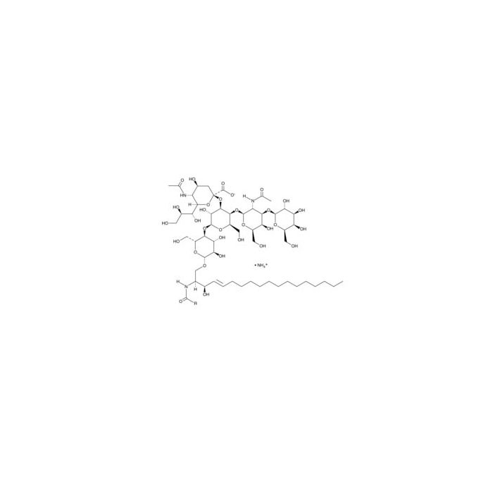 Ganglioside GM1 (bovine) (ammonium)