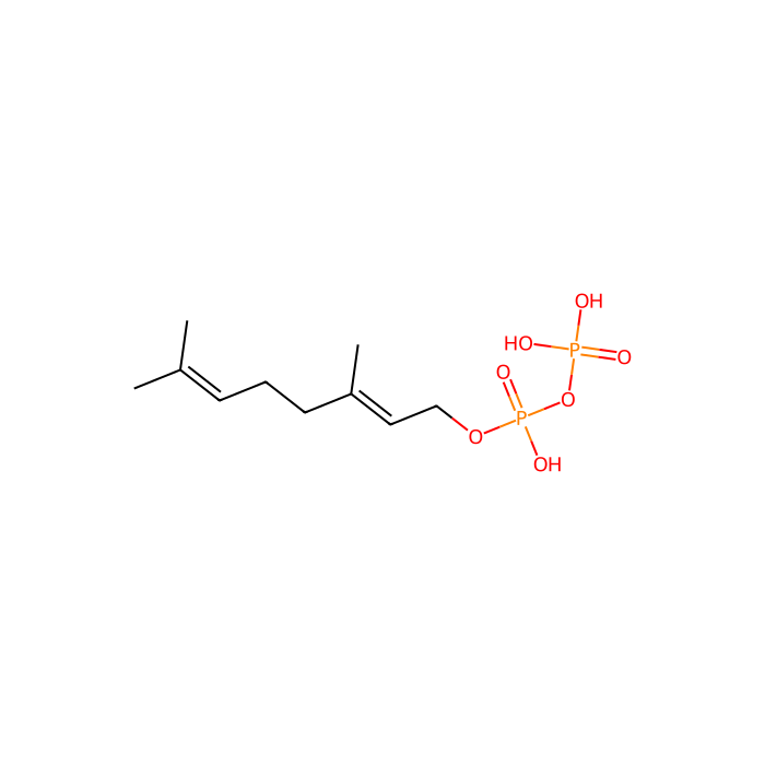 geranyl diphosphate, 二磷酸甲羟戊酸脱羧酶抑制剂；甲羟戊酸激酶抑制剂