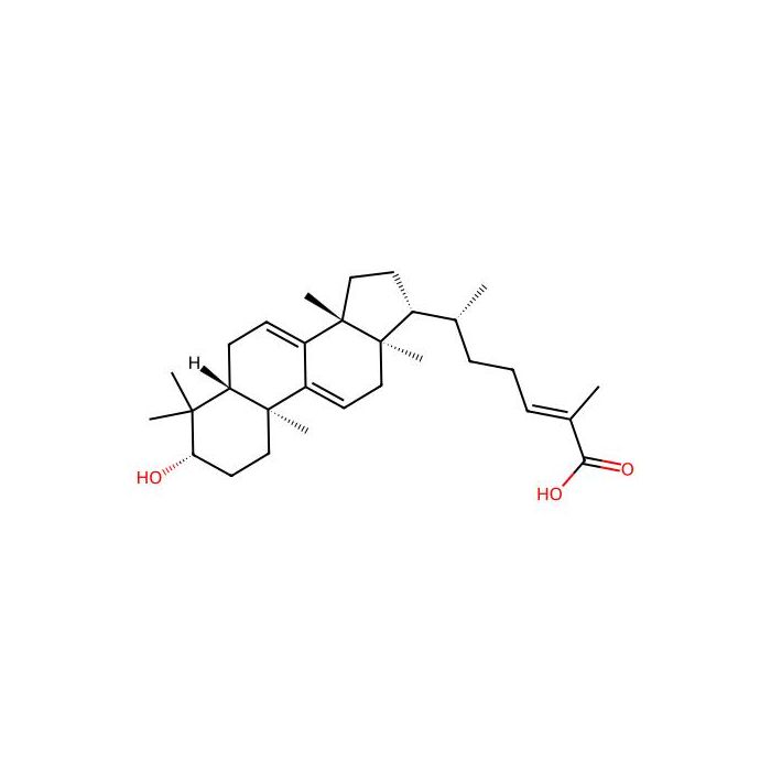 Ganoderic acid Y