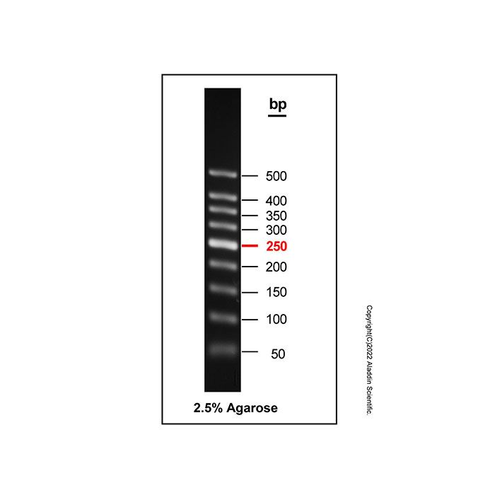 Gelred-prestained DNA Ladder (50-500bp)