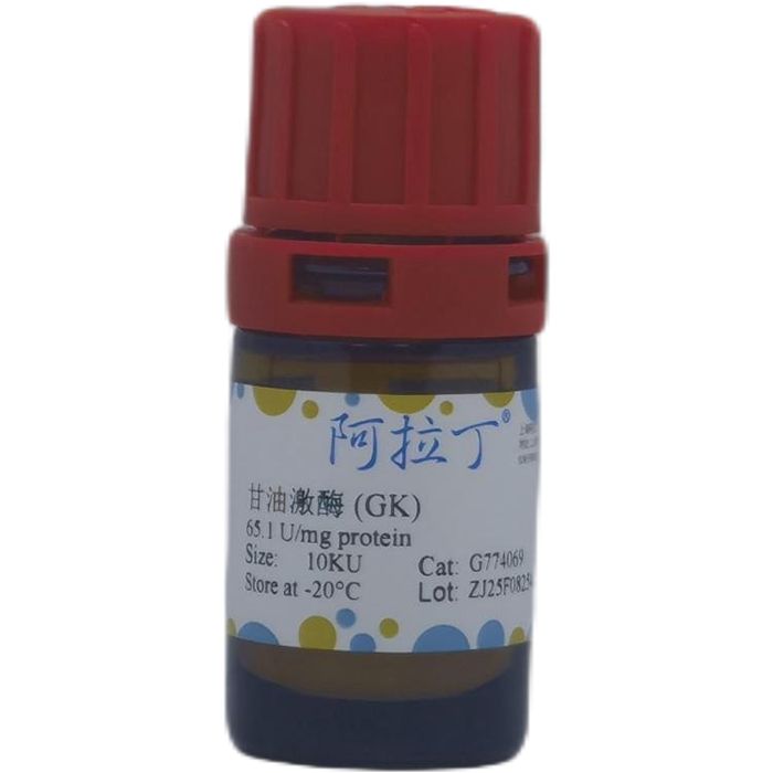 甘油激酶 (GK)