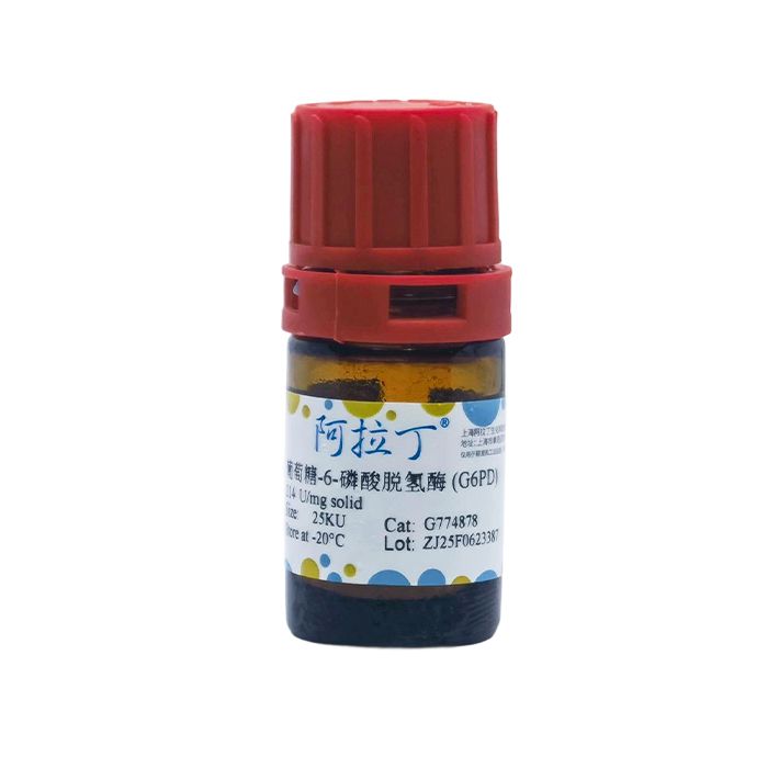 葡萄糖-6-磷酸脱氢酶 (G6PD)