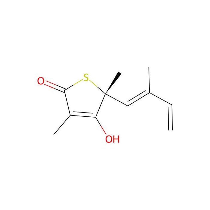 4-Hydroxy-3,5-Dimethyl-5-(2-Methyl-Buta-1,3-Dienyl)-5h-Thiophen-2-One