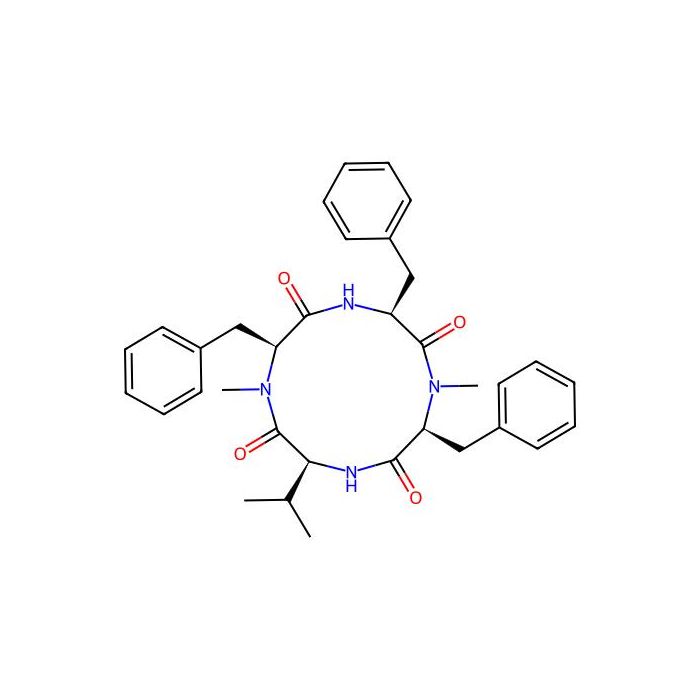 Hirsutide