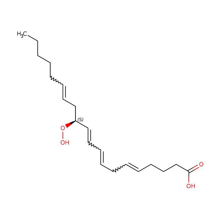 12(S)-HPETE, TRPV1 激活剂