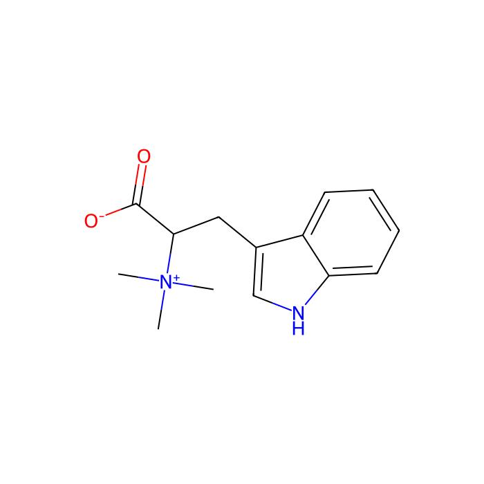 透明质酸