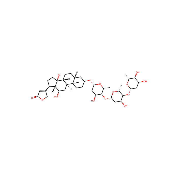 [³H]digoxin, 钠/钾转运 ATP 酶抑制剂