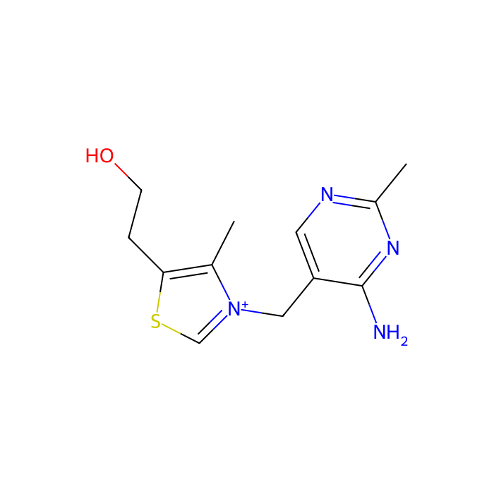 [³H]thiamine, 硫胺素转运体 1；硫胺素转运体 2