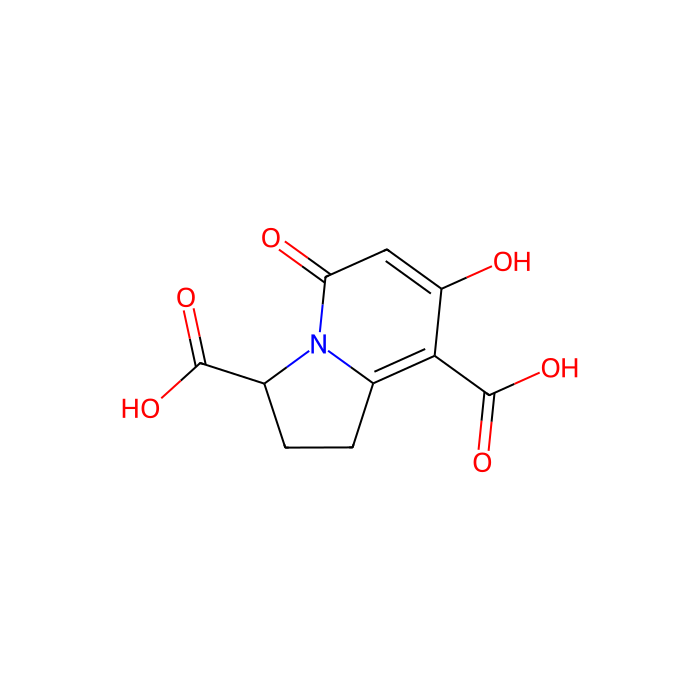 (3S)-7-hydroxy-5-oxo-2,3-dihydro-1H-indolizine-3,8-dicarboxylic acid
