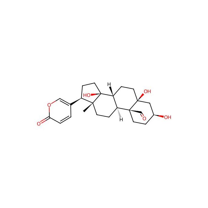 Hellebrigenin