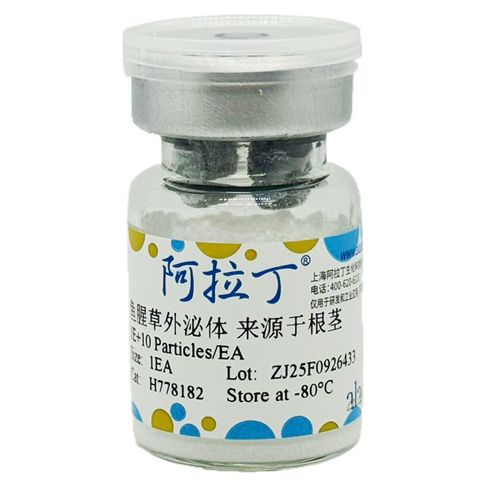 鱼腥草外泌体 来源于根茎
