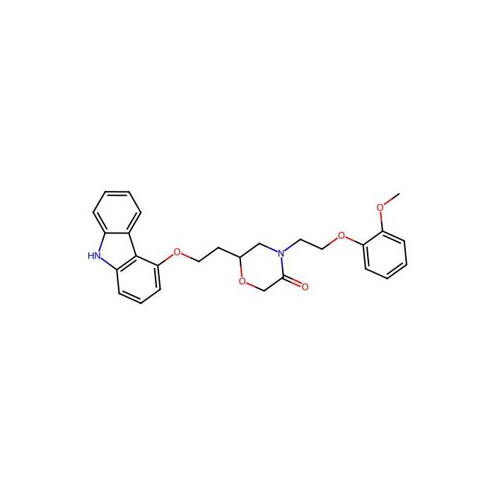 Homo-VK-II-36