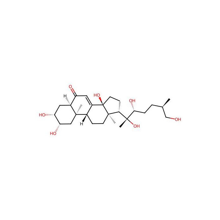 Inokosterone