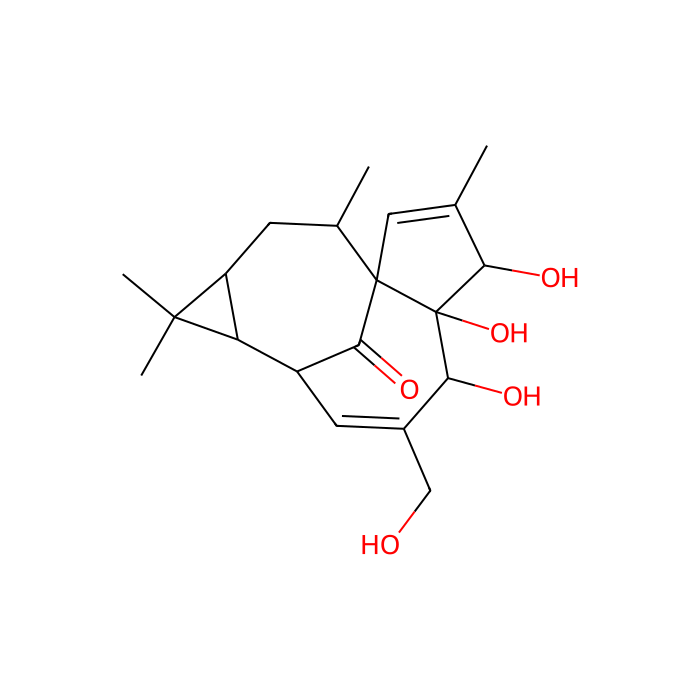巨大戟醇