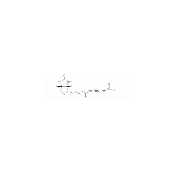 碘代乙酰基 PEG 生物素, IA-PEG-生物素
