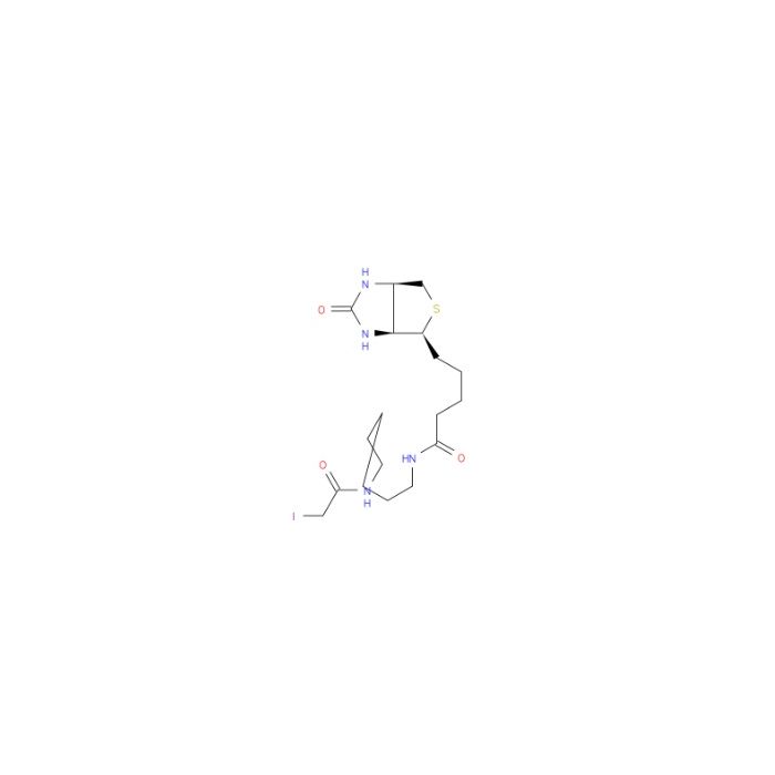 碘乙酰-LC-生物素