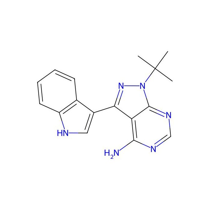 3-IN-PP1