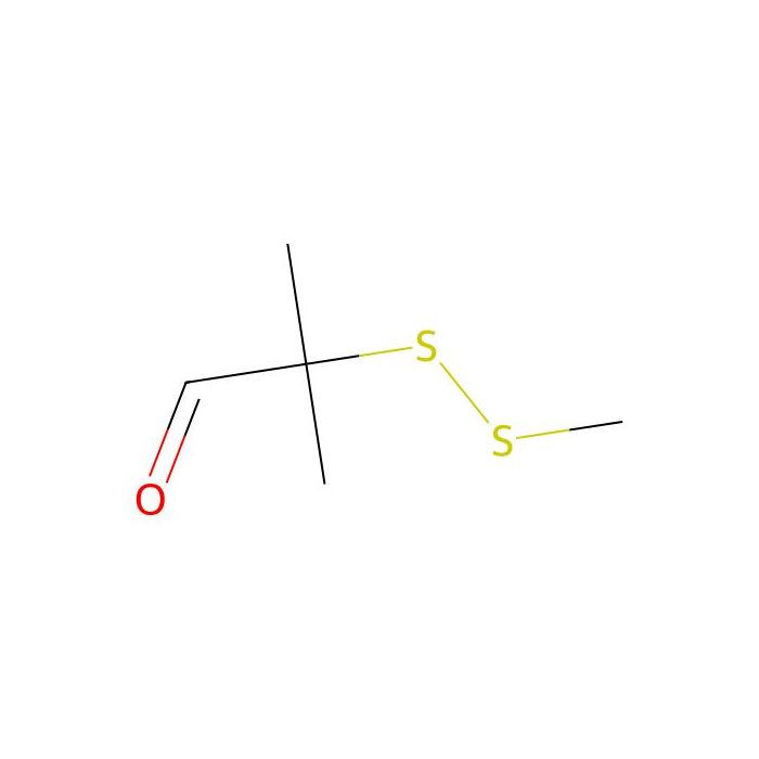 2-(甲基二硫)-异丁醛