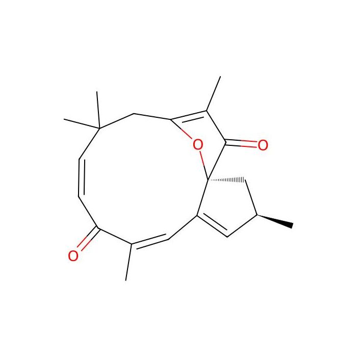 Jatrophone