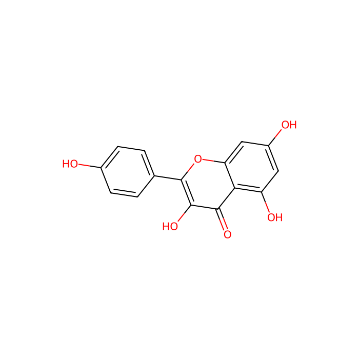 山奈酚, CYP2A13 的抑制剂