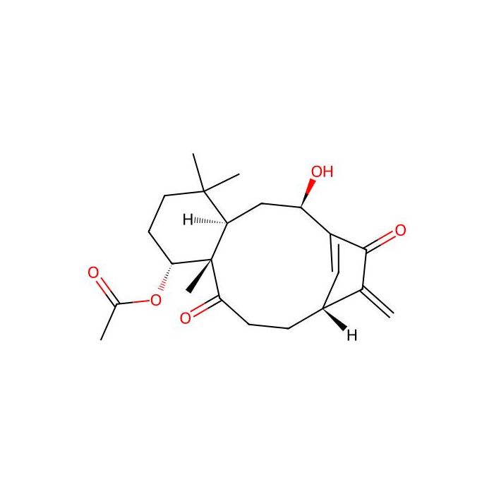 Kongensin A