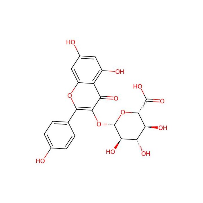 Kaempferol 3-O-β-D-glucuronide