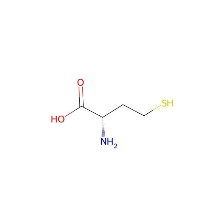L-高半胱氨酸